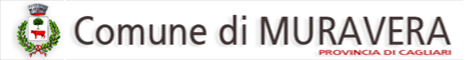 Visita del sito istituzionale del comune