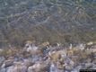 Muravera-Mare di Costa rei