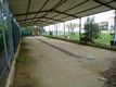 Musei: complesso sportivo campo Etfas: Campo da bocce Musei: complesso sportivo campo Etfas: Campo da bocce