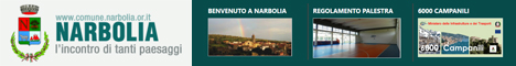 Visita del sito istituzionale del comune