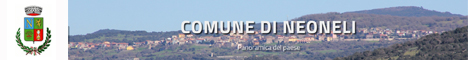 Visita del sito istituzionale del comune