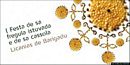Neoneli-Sa festa de sa fregula istuvada e de Sa cassola