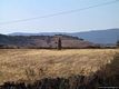 Noragugume-Menhir Sa Pedra ’e Taleri nella campagna