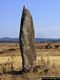 Noragugume-Menhir <em>Sa Pedra ’e Taleri</em>