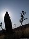 Noragugume-Menhir Sa Pedra ’e Taleri in controluce