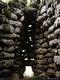 Norbello-nuraghe semplice Perdu Cossu: interno del nuraghe