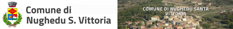 Visita del sito istituzionale del comune