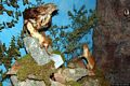 Nughedu Santa Vittoria-Museo naturalistico dell’Oasi d’Assai: esemplari impagliati di fauna sarda