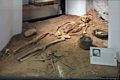 Nuoro-Museo Nazionale Archeologico: scheletro della donna di Sisaia