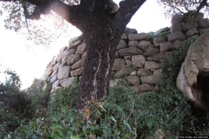 Nuoro: Lollove: le case del paese