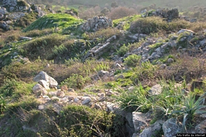 Nuoro-resti del villaggio accanto al nuraghe Nurdole Nuoro-resti del villaggio accanto al nuraghe Nurdole