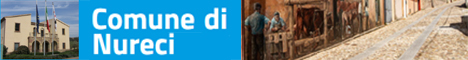 Visita del sito istituzionale del comune