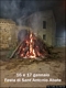 Nurri-Festa di Sant’Antonio Abate