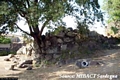Nurri-I pochi resti del nuraghe complesso Sardaiara