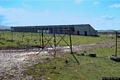Nurri-Ippodromo Comunale: esterno