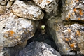 Nurri-Il nuraghe Is Cangialis