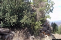 Nurri-resti della torre principale del nuraghe Gurti Aqua