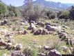 Nuxis: il villaggio di Tattinu: capanne del villaggio