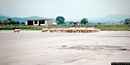 Olbia-Gregge di pecore sulla pista dismessa dell’Aeroporto di Venafiorita che è stato il primo Aeroporto di Olbia