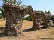 Olbia: acquedotto romano-resti dell’acquedotto romano