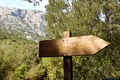Oliena-A poca distanza dalla Grotta di Sa Ohe si trovano i resti di una tomba di giganti