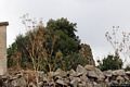 Onanì: il nuraghe Santu Pedru