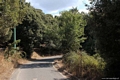 Orgosolo-La strada verso la chiesa campestre dedicata ai Santi Egidio e Anania