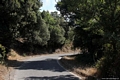Orgosolo-La strada verso la chiesa campestre dedicata ai Santi Egidio e Anania