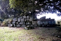 Orgosolo-Resti del nuraghe chiamato Nuragheddu de Burdu