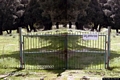 Orgosolo-Galoppatoio Comunale: ingresso