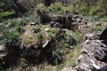 Orgosolo-Resti del villaggio nuragico di Duvilinò
