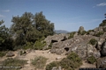 Orgosolo-Veduta di alcune tombe della necropoli di Oreharva
