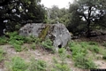 Orgosolo-Necropoli di Oreharva: ingresso della tomba III