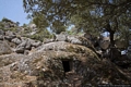 Orgosolo-Necropoli di Oreharva: ingresso della tomba V