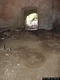 Orgosolo-Necropoli di Oreharva: interno della tomba XII