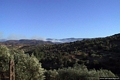 Orgosolo-Un incendio sulle montagne che circondano Orgosolo