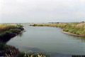 Lo stagno di Cabras: canale di Pontis