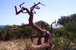 Orosei-Vecchio fico laccato in rosso