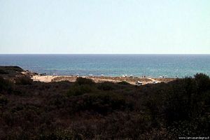 Orosei-Una spiaggetta