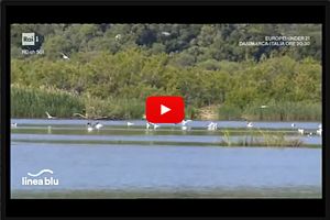 La foce del fiume Cedrino