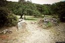 Orroli: il parco archeologico e botanico di su Motti