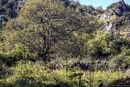 Orroli: il parco archeologico e botanico di su Motti Orroli: il parco archeologico e botanico di su Motti