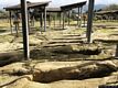 Ortacesus-Necropoli punica e romana di Mitza de Siddi