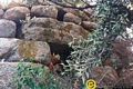 Orune-resti del nuraghe di Nunnale