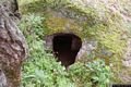Oschiri-Una domus de janas nell’area archeologica di Santo Stefano