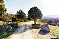 Oschiri-area di rimboschimento di su Filigosu: ingresso
