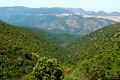 Oschiri-area di rimboschimento di su Filigosu: veduta generale
