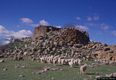 Osidda: il nuraghe Usanis