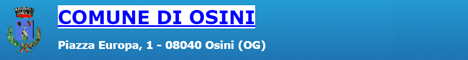 Visita del sito istituzionale del comune