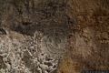 Ossi-Necropoli di Mesu ’e Montes: interno della tomba 9